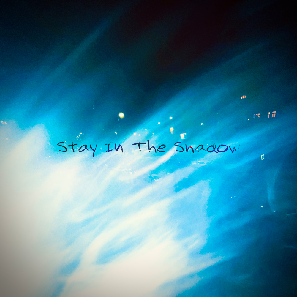 Stay In The Shadow